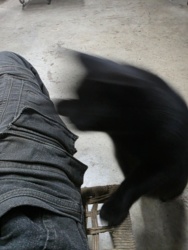 d54711d2-fff3-43cf-981a-97b29127fb3e