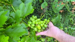 b18b0e43-7c75-4cd6-bb44-791b8483d989