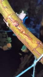 eece5968-e8d0-43e6-b0d6-9c8614c57af1