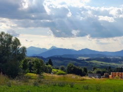 5fed5fff-b4a5-439a-b550-9e2d1d1bcef1