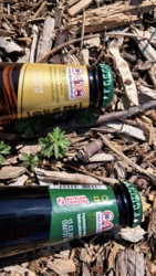 0ac839b8-7508-4af3-b1c0-b6e53fa3763a