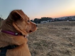 9c413942-deef-4a6d-b712-2da595573e87