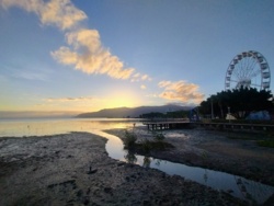 8941411f-60fd-4e4b-9c2a-1b3a71da6097