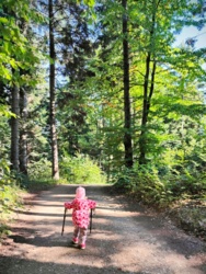 d3ec3911-d862-4750-afce-0f84c41c7642