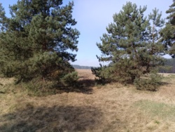 5a86255a-be6f-4d3d-8d9c-bc9719b48b35