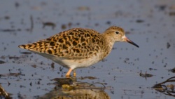 37286b77-e384-4736-b297-30332df26c63