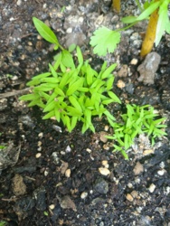 8d937e71-53d6-434b-bb67-3ccc14d8c251