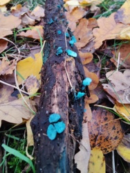 4428331d-180f-435d-8ddc-3cc3d45a1527