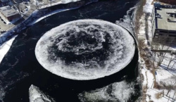 72777795-fb1b-4841-9dfc-a83bba567243