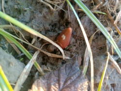 6054ad48-84e4-4984-b7e5-97b8469a9c6e