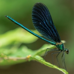 fa7e9718-8d36-43e4-b113-0eaee2caa92c