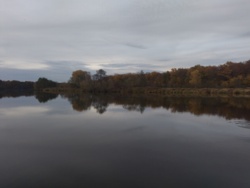 e31a71ff-cf66-43b5-9878-3e397bd59989