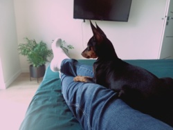 1a4b15e2-be75-4afd-9f4a-9448ae88db61