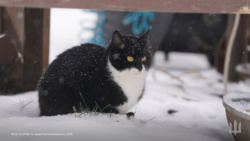 af411b9f-d4d2-45b7-ad02-506ab8d0f882