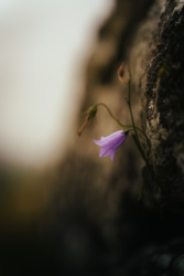 359889e0-ff29-4587-990b-6dfde252d7d9