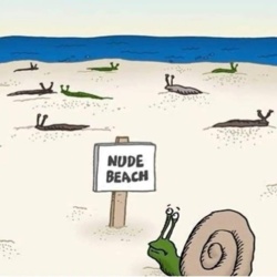 a24943b7-b5ac-499a-81cc-173348e4d9f4