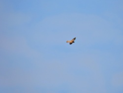 822c2aef-7ec9-4923-83e6-2d266adc2c0a