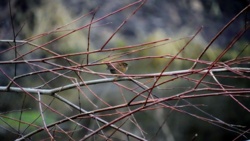 82a62743-5c4d-4e8b-a89d-0220b401a61b