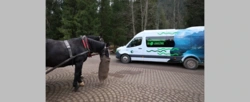 Resort klimatu: zakup kolejnych e-busów do Morskiego Oka nie oznacza likwidacji przewozów konnych