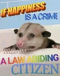 2da0b5ba-11fd-429a-9753-612799060908