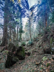 9a9cdbac-6a71-464f-9a0f-c7639ba132c0