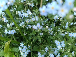 df7793fc-d830-4262-831f-384a723f5b03