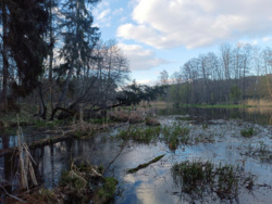 04fec107-645d-48b0-a306-1af09f7e5e8b