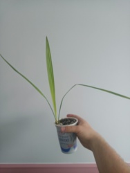 ea1adbce-45e5-4e7e-beea-ccb54da31f79