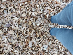 ba9697f4-8a81-4ee5-94ea-45df9b948535