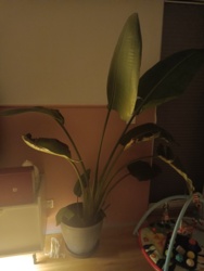 83b86cff-e526-45f7-a47a-797739a59729