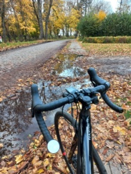 0991013b-f5be-44a9-b05d-289f6f4cd8c4