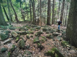 c1a8fb87-d8e1-49fb-a7fd-6ef8fee06dad