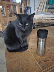 f2400b1c-3429-4caa-b99a-23ef2e157547