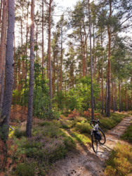 08288d82-06cd-4a4a-bdb3-09a92fa07c63