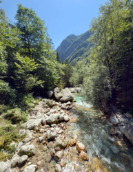 6470dae8-7e8f-4712-bd24-8a3c30c2b925