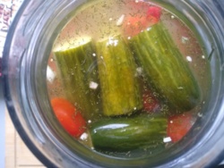 f8dccbe9-c710-4079-ac13-f3f65f536332