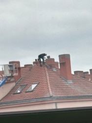 d4b48cb8-63fc-4e57-addb-b362de14fe10