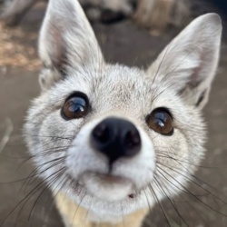 f3a9e1b3-a9c6-43b4-bcfe-08c5a3e7895b