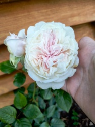 c7901f43-23db-4ead-b841-611e83adf7f7