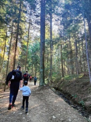 cf1ccc62-d46d-4f72-bebd-8ab9ce2c90bb