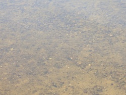 68a144c2-26b3-4cb2-bff0-5c42dd9c65bd