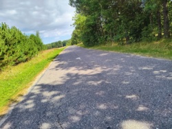 044e1431-88d8-44c1-9853-d39adf6a4e8b