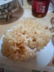 0b0c06e4-0cb3-4f91-805f-5f91ceb7922c