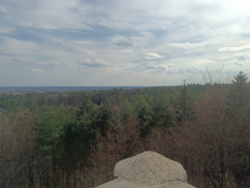 544bc3b8-17a6-4257-bed7-856516315f16