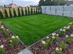 d83cef3e-7917-4cb5-a57f-3afc20bac640