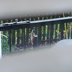 0a8f4323-60f6-488a-b065-429d7636fc42