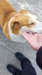 46984f6c-f6eb-4eeb-9030-1871da5eaf2a