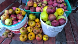 ee580cbe-a8a9-4d2d-80f5-c7c55c9fa73f