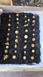 dcf7bc0b-14e3-4173-8c3a-abbed4d8a4b1