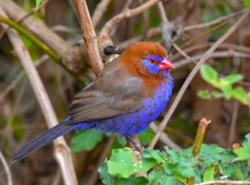 81d76ac0-701c-4511-9986-6876a32546bc